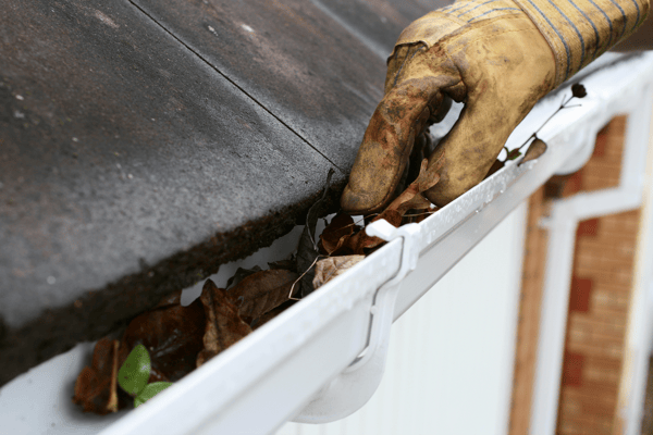 Gutters