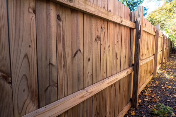 fencing